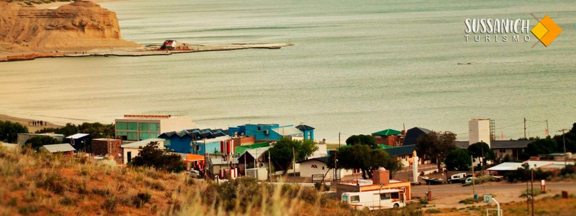 Peninsula Valdes con Box Lunch + City Tour 1