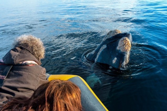 Los mejores tips para tu viaje a Puerto Madryn