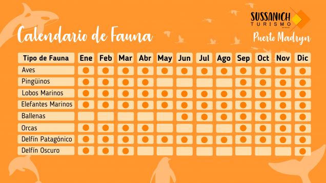 Calendario de fauna Puerto Madryn y Península Valdés