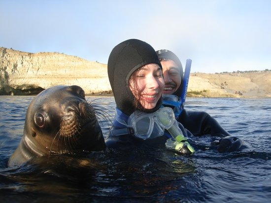 Snorkeling con Lobos Marinos