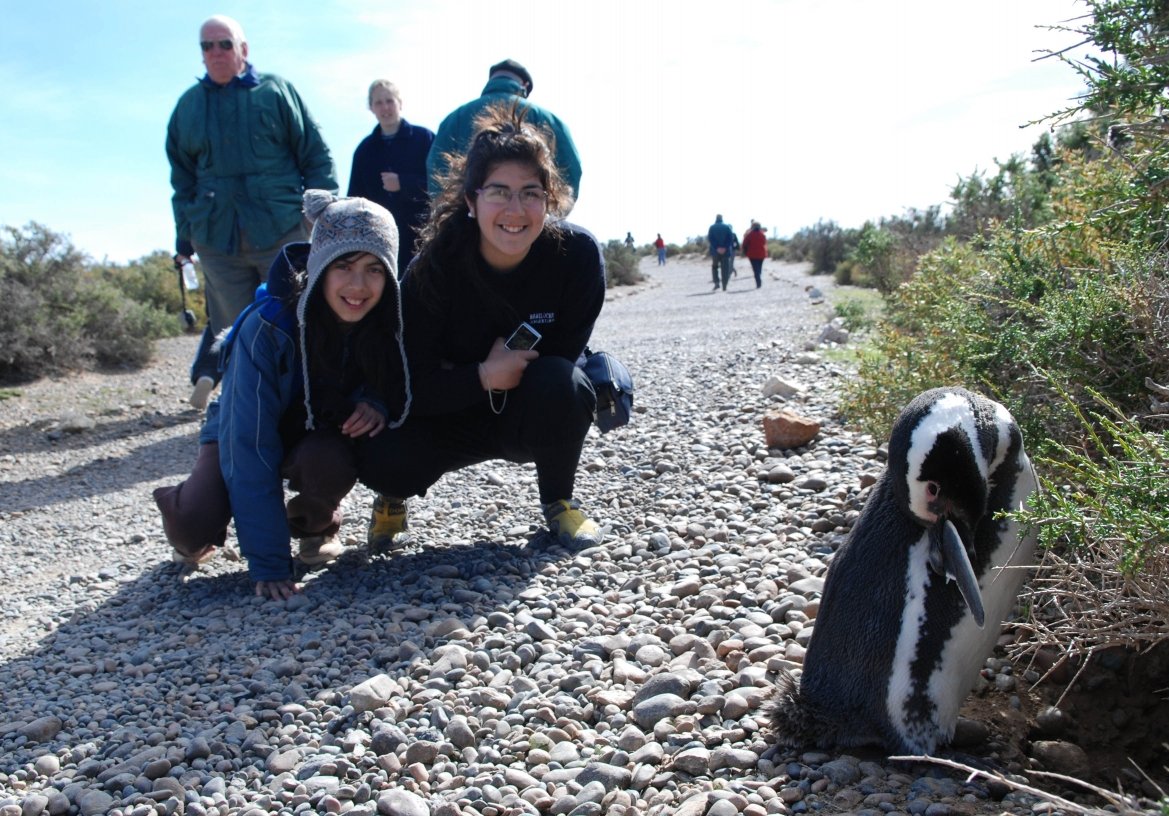 Punta Tombo con Box Lunch + City Tour 2